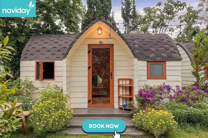Gợi Ý Top Homestay Đà Lạt Giá Rẻ Cho 2 Người View Đẹp Và Riêng Tư