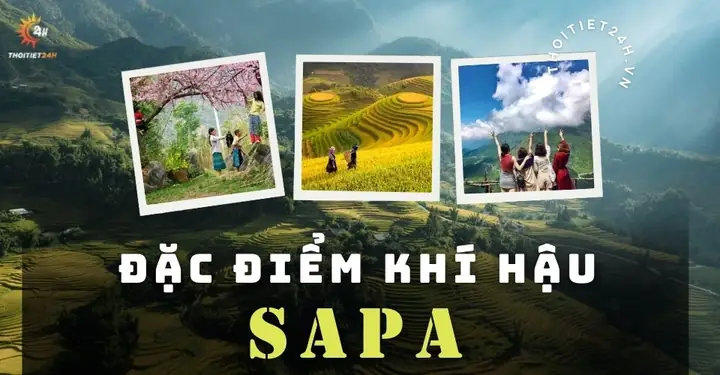 Khí Hậu Sapa Như Thế Nào? Đánh Giá Chi Tiết Theo Mùa Và Lời Khuyên Du Lịch Khí Hậu Sapa Như Thế Nào? Đánh Giá Chi Tiết Theo Mùa Và Lời Khuyên Du Lịch