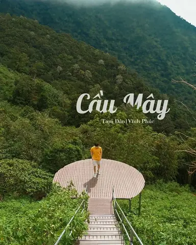 Hướng Dẫn Chi Tiết Khu Chụp Ảnh Cầu Mây Tam Đảo: Địa Chỉ, Giá Vé, Giờ Mở Cửa Và Các Góc Check‑in Hot Hướng Dẫn Chi Tiết Khu Chụp Ảnh Cầu Mây Tam Đảo: Địa Chỉ, Giá Vé, Giờ Mở Cửa Và Các Góc Check‑in Hot