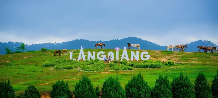 Tổng Hợp Các Khu Du Lịch Đà Lạt Lâm Đồng Nổi Bật Cho Hội Tự Túc Tổng Hợp Các Khu Du Lịch Đà Lạt Lâm Đồng Nổi Bật Cho Hội Tự Túc