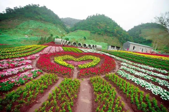 Khám Phá Khu Du Lịch Happy Land Mộc Châu: Vị Trí, Giá Vé Và Kinh Nghiệm Tham Quan