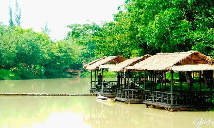 Khám Phá Khu Du Lịch Sinh Thái Cao Minh Đồng Nai (đảo Cao Minh): Địa Chỉ, Giá Vé & Trải Nghiệm Cho Du Khách Từ Sài Gòn Khám Phá Khu Du Lịch Sinh Thái Cao Minh Đồng Nai (đảo Cao Minh): Địa Chỉ, Giá Vé & Trải Nghiệm Cho Du Khách Từ Sài Gòn