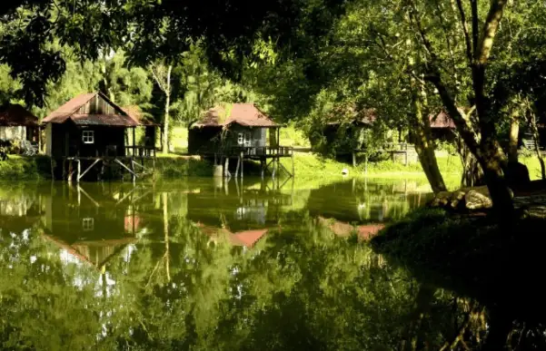 Khám Phá Khu Du Lịch Sinh Thái Cao Minh Đồng Nai (đảo Cao Minh): Địa Chỉ, Giá Vé & Trải Nghiệm Cho Du Khách Từ Sài Gòn Khám Phá Khu Du Lịch Sinh Thái Cao Minh Đồng Nai (đảo Cao Minh): Địa Chỉ, Giá Vé & Trải Nghiệm Cho Du Khách Từ Sài Gòn