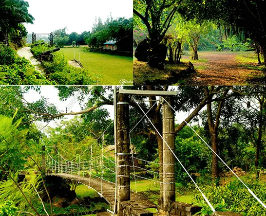 Khám Phá Khu Du Lịch Sinh Thái Cao Minh Đồng Nai (đảo Cao Minh): Địa Chỉ, Giá Vé & Trải Nghiệm Cho Du Khách Từ Sài Gòn Khám Phá Khu Du Lịch Sinh Thái Cao Minh Đồng Nai (đảo Cao Minh): Địa Chỉ, Giá Vé & Trải Nghiệm Cho Du Khách Từ Sài Gòn