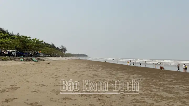 Tìm Hiểu Khu Sinh Thái Rạng Đông Nam Định: Thực Trạng Bãi Biển Tự Phát Và Những Rủi Ro Cần Biết Tìm Hiểu Khu Sinh Thái Rạng Đông Nam Định: Thực Trạng Bãi Biển Tự Phát Và Những Rủi Ro Cần Biết