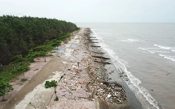 Tìm Hiểu Khu Sinh Thái Rạng Đông Nam Định: Thực Trạng Bãi Biển Tự Phát Và Những Rủi Ro Cần Biết Tìm Hiểu Khu Sinh Thái Rạng Đông Nam Định: Thực Trạng Bãi Biển Tự Phát Và Những Rủi Ro Cần Biết