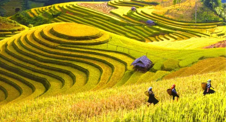 Tổng Hợp Kinh Nghiệm Du Lịch Mai Châu Hòa Bình Tự Túc: Cẩm Nang Từ A-z Cho Chuyến Đi Ngắn Ngày