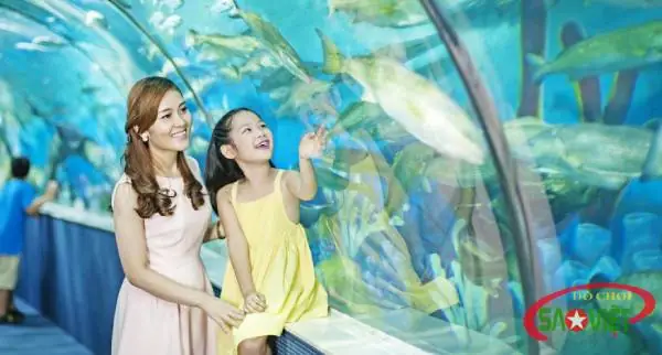 Kinh Nghiệm Đi Thủy Cung Times City Hà Nội: Lịch Trình, Vé, Mẹo Tránh Đông Và Trải Nghiệm Tối Ưu