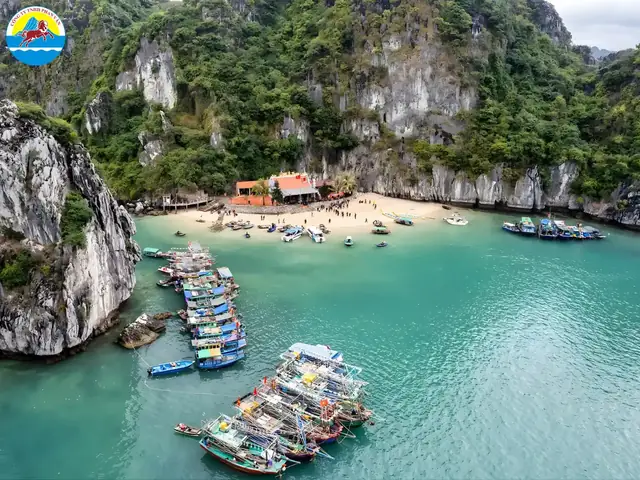 Tổng Hợp Kinh Nghiệm Du Lịch Cát Bà 1 Ngày: Lịch Trình Tự Túc, Đi Tour Và Mẹo Tiết Kiệm Tổng Hợp Kinh Nghiệm Du Lịch Cát Bà 1 Ngày: Lịch Trình Tự Túc, Đi Tour Và Mẹo Tiết Kiệm
