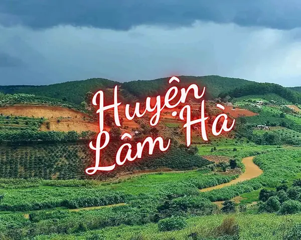 Lâm Hà Lâm Đồng Có Gì Chơi? Hướng Dẫn Chi Tiết Các Điểm Tham Quan, Hoạt Động Và Trải Nghiệm