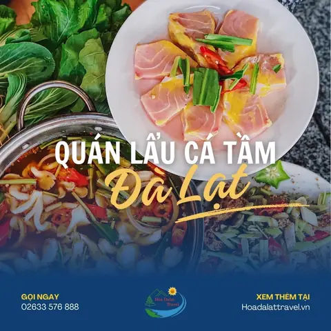 Gợi Ý Các Quán Lẩu Cá Tầm Hồ Tuyền Lâm Ngon Cho Thực Khách Đà Lạt Gợi Ý Các Quán Lẩu Cá Tầm Hồ Tuyền Lâm Ngon Cho Thực Khách Đà Lạt