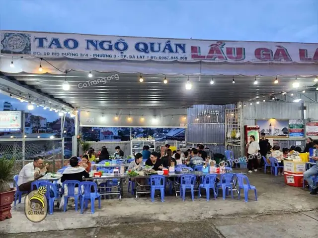 Tìm Quán Lẩu Gà Lá É Tao Ngộ Chính Gốc Ở Đường 3/4 Đà Lạt Cho Du Khách Muốn Ăn Đúng Vị Tìm Quán Lẩu Gà Lá É Tao Ngộ Chính Gốc Ở Đường 3/4 Đà Lạt Cho Du Khách Muốn Ăn Đúng Vị