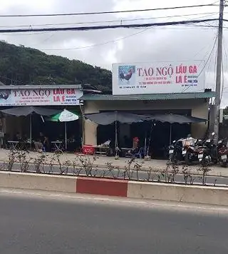 Tìm Quán Lẩu Gà Lá É Tao Ngộ Chính Gốc Ở Đường 3/4 Đà Lạt Cho Du Khách Muốn Ăn Đúng Vị Tìm Quán Lẩu Gà Lá É Tao Ngộ Chính Gốc Ở Đường 3/4 Đà Lạt Cho Du Khách Muốn Ăn Đúng Vị