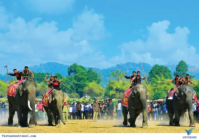 Giải Đáp Lễ Hội Đua Voi Diễn Ra Vào Ngày Nào: Lịch Và Địa Điểm Tại Buôn Đôn, Đắk Lắk Cho Du Khách Giải Đáp Lễ Hội Đua Voi Diễn Ra Vào Ngày Nào: Lịch Và Địa Điểm Tại Buôn Đôn, Đắk Lắk Cho Du Khách