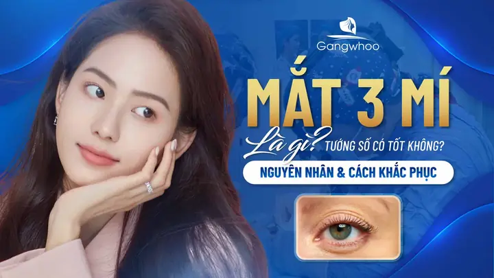 Giải Nghĩa Mắt 3 Mí Trong Nhân Tướng Học Và Vận Mệnh Cuộc Đời Giải Nghĩa Mắt 3 Mí Trong Nhân Tướng Học Và Vận Mệnh Cuộc Đời