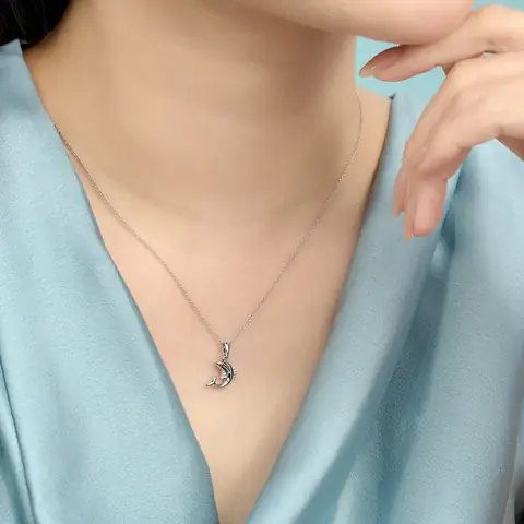 Khám Phá Các Mẫu Mặt Dây Chuyền Cá Heo Pnj: Bạc Pnjsilver, Vàng 14k Kim Cương Và Báo Giá