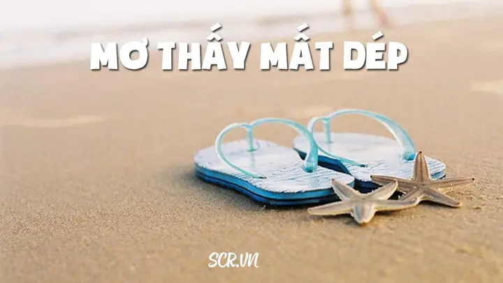 Giải Mã Điềm Báo Mất Dép Trong Giấc Mơ Và Đời Thực Giải Mã Điềm Báo Mất Dép Trong Giấc Mơ Và Đời Thực