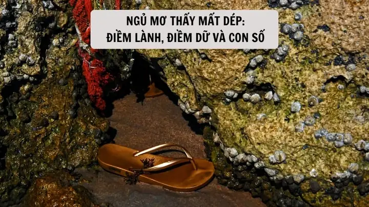 Giải Mã Điềm Báo Mất Dép Trong Giấc Mơ Và Đời Thực Giải Mã Điềm Báo Mất Dép Trong Giấc Mơ Và Đời Thực