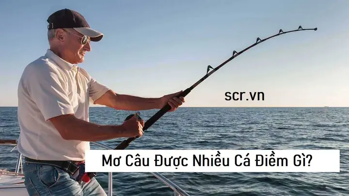 Giải Mã Giấc Mơ Câu Được Cá: Điềm Báo Tốt Xấu, Ý Nghĩa Tài Lộc Và Con Số May Mắn