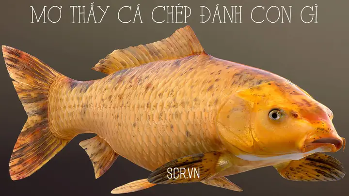 Giải Mã Giấc Mơ Câu Được Cá: Điềm Báo Tốt Xấu, Ý Nghĩa Tài Lộc Và Con Số May Mắn