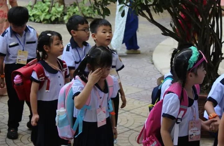 Giải Mã Giấc Mơ Đi Học Không Làm Được Bài: Ý Nghĩa Tâm Lý Và Lý Do Người Trưởng Thành Hay Gặp Giải Mã Giấc Mơ Đi Học Không Làm Được Bài: Ý Nghĩa Tâm Lý Và Lý Do Người Trưởng Thành Hay Gặp