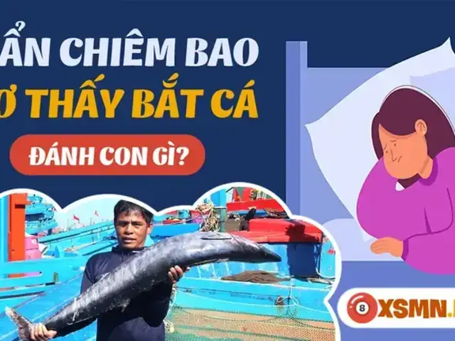 Giải Mã Giấc Mơ Kéo Cá Đánh Con Gì: Gợi Ý Số May Mắn Theo Từng Trường Hợp Giải Mã Giấc Mơ Kéo Cá Đánh Con Gì: Gợi Ý Số May Mắn Theo Từng Trường Hợp