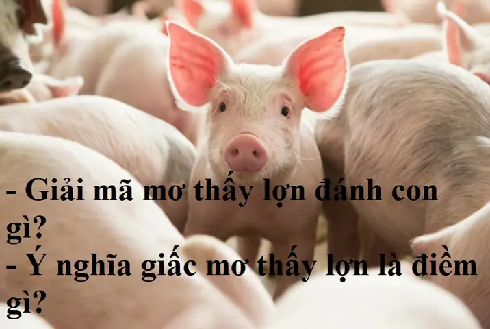 Giải Mã Giấc Mơ Thấy Lợn (heo): Điềm Báo Gì Và Con Số May Mắn
