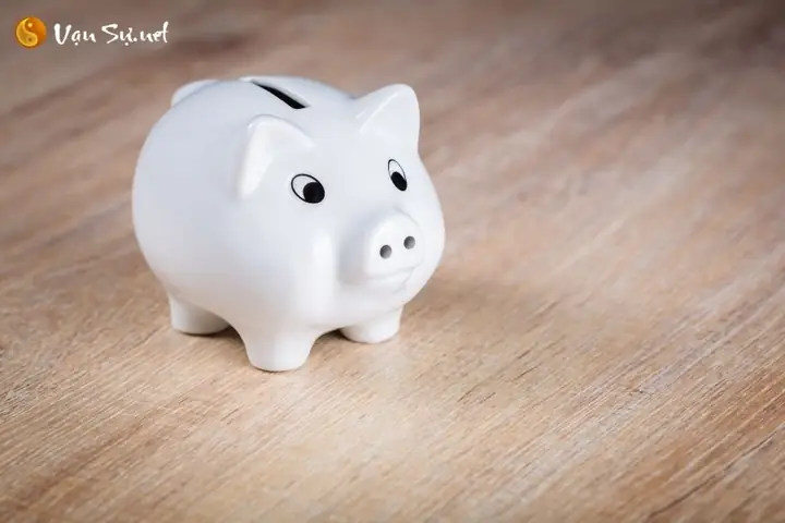 Giải Mã Điềm Báo Và Gợi Ý Con Số May Mắn Khi Mơ Thấy 2 Con Lợn Đen
