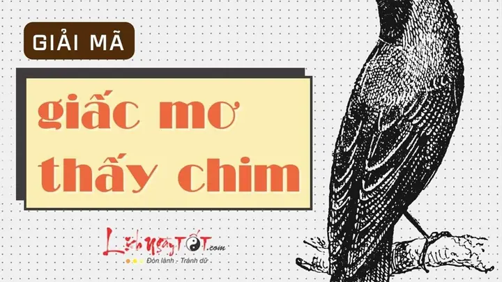 Giải Mã Giấc Mơ Bắt Được Chim: Ý Nghĩa Điềm Báo Và Con Số May Mắn