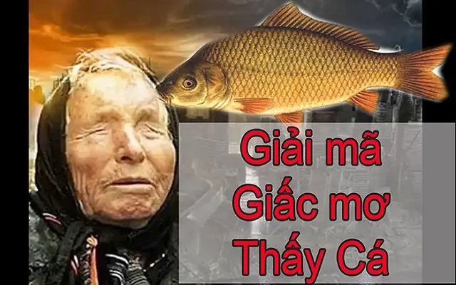 Giải Mã Giấc Mơ Thấy Cá Trên Cạn: Ý Nghĩa Điềm Báo Và Đánh Con Gì