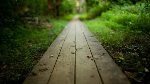 Giải Mã Giấc Mơ Thấy Con Đường Mới (lạ): Ý Nghĩa Và Điềm Báo Cho Người Mơ