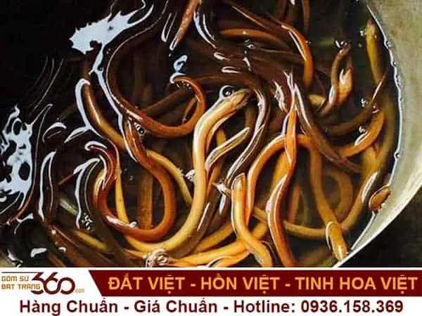 Giải Mã Điềm Báo Và Ý Nghĩa Giấc Mơ Thấy Con Lươn Màu Vàng Từ Tài Vận Đến Con Số Lô Đề Giải Mã Điềm Báo Và Ý Nghĩa Giấc Mơ Thấy Con Lươn Màu Vàng Từ Tài Vận Đến Con Số Lô Đề