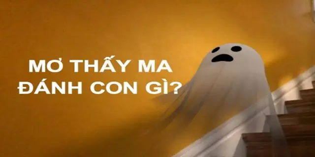 Giải Thích Ý Nghĩa Và Điềm Báo Mơ Thấy Đánh Nhau Với Ma: Tốt Hay Xấu?