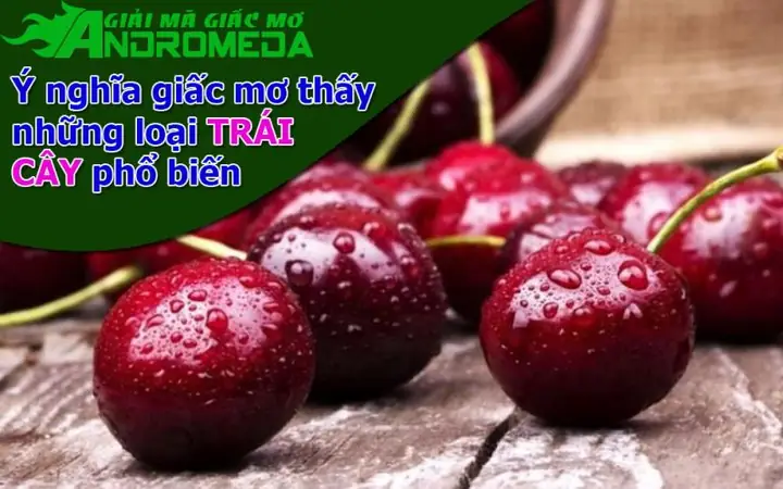 Giải Mã Ý Nghĩa Giấc Mơ Thấy Đậu Đỏ: Điềm Báo Và Số Mấy Liên Quan Giải Mã Ý Nghĩa Giấc Mơ Thấy Đậu Đỏ: Điềm Báo Và Số Mấy Liên Quan