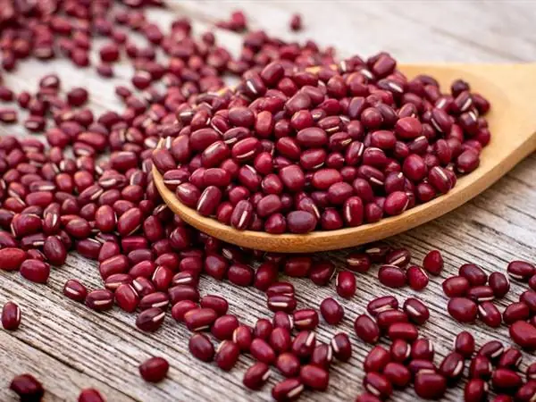 Giải Mã Ý Nghĩa Giấc Mơ Thấy Đậu Đỏ: Điềm Báo Và Số Mấy Liên Quan Giải Mã Ý Nghĩa Giấc Mơ Thấy Đậu Đỏ: Điềm Báo Và Số Mấy Liên Quan
