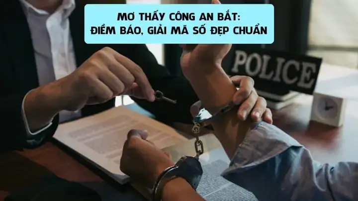 Giải Nghĩa Giấc Mơ Đi Bắt Sò: Điềm Báo Chi Tiết Và Con Số Lô Đề May Mắn