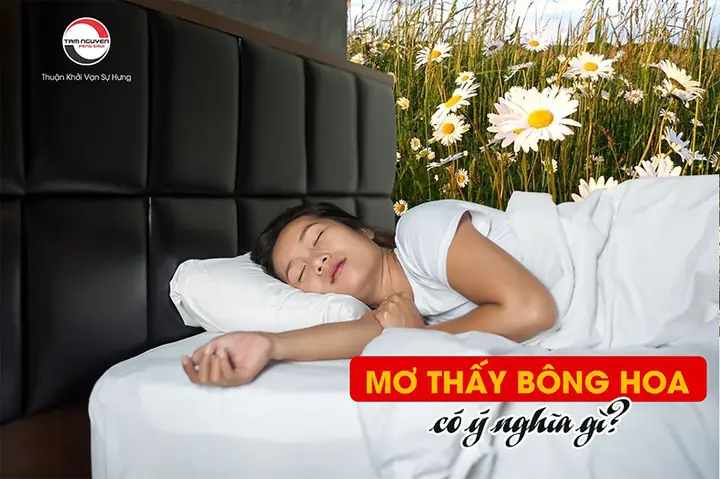 Giải Mã Giấc Mơ Thấy Được Tặng Hoa Hồng: Điềm Báo Tình Duyên Và Con Số May Mắn Giải Mã Giấc Mơ Thấy Được Tặng Hoa Hồng: Điềm Báo Tình Duyên Và Con Số May Mắn