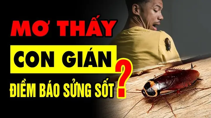 Giải Mã Giấc Mơ Thấy Gián Chết: Điềm Báo Chi Tiết Và Con Số May Mắn Giải Mã Giấc Mơ Thấy Gián Chết: Điềm Báo Chi Tiết Và Con Số May Mắn
