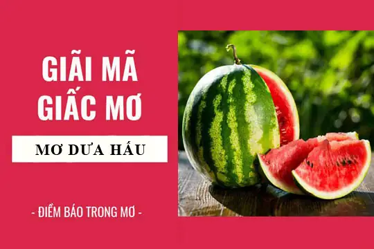 Giải Mã Giấc Mơ Thấy Hạt Dưa Hấu: Ý Nghĩa, Điềm Báo Và Con Số Liên Quan