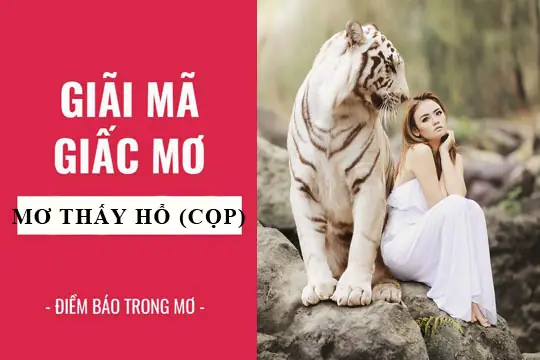 Mơ Thấy Hổ Con Có Điềm Gì? Giải Mã Ý Nghĩa, Dấu Hiệu Và Cách Ứng Phó