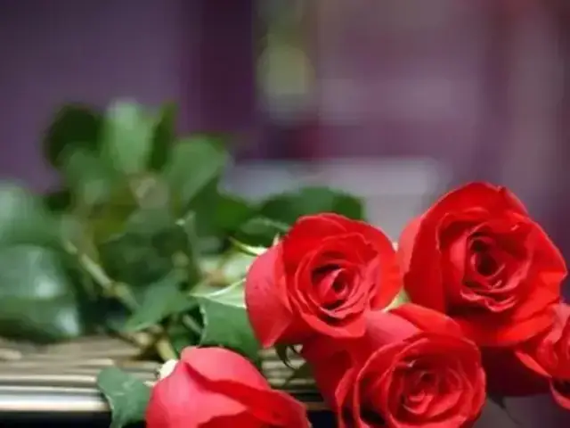 Giải Mã Giấc Mơ Thấy Hoa Hồng Tím: Ý Nghĩa, Điềm Báo Và Con Số Liên Quan