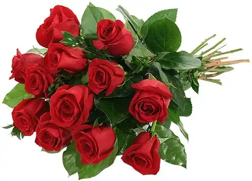 Giải Mã Ý Nghĩa Giấc Mơ Hoa Nở Màu Đỏ: Điềm Báo Và Con Số Liên Quan Giải Mã Ý Nghĩa Giấc Mơ Hoa Nở Màu Đỏ: Điềm Báo Và Con Số Liên Quan