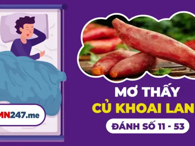 Giải Mã Giấc Mơ Thấy Khoai Lang Chín: Ý Nghĩa Điềm Báo Và Con Số May Mắn