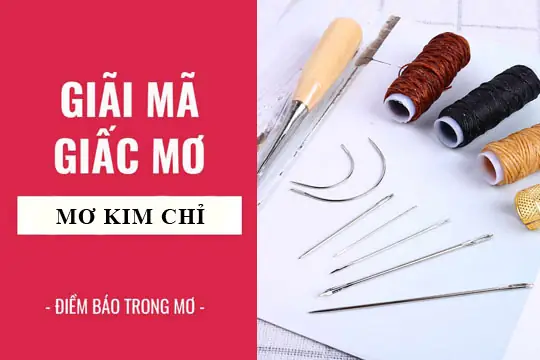 Giải Mã Giấc Mơ Thấy Kim Khâu: Ý Nghĩa, Điềm Báo Và Con Số May Mắn Liên Quan Giải Mã Giấc Mơ Thấy Kim Khâu: Ý Nghĩa, Điềm Báo Và Con Số May Mắn Liên Quan