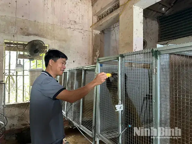 Giải Mã Giấc Mơ Thấy Kim Tiêm – Ý Nghĩa Và Con Số Đề Xuất Giải Mã Giấc Mơ Thấy Kim Tiêm – Ý Nghĩa Và Con Số Đề Xuất
