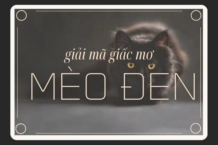 Giải Mã Ý Nghĩa Và Điềm Báo Giấc Mơ Thấy Mèo Đen Trắng: Lành Hay Dữ?