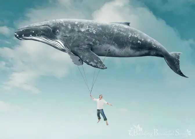 Giải Nghĩa Mơ Thấy Mình Bay Lên Nóc Nhà: Ý Nghĩa, Dự Báo Và Con Số May Mắn