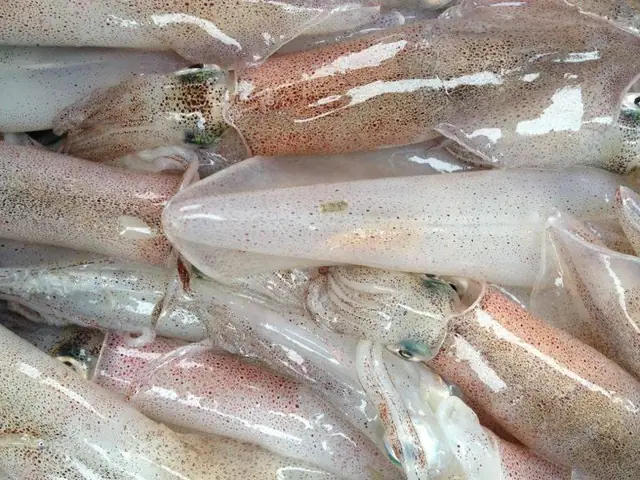 Giải Mã Giấc Mơ Thấy Mực Tươi: Điềm Báo Tài Lộc Tình Duyên Và Con Số Đánh Đề