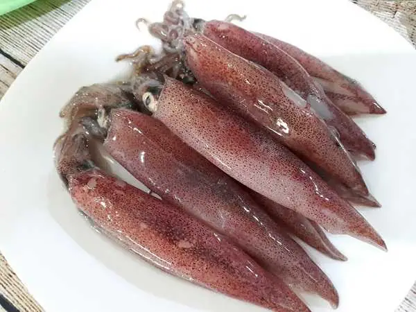 Giải Mã Giấc Mơ Thấy Mực Tươi: Điềm Báo Tài Lộc Tình Duyên Và Con Số Đánh Đề