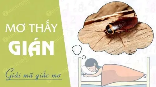 Mơ Thấy Nhiều Gián Đánh Con Gì? Giải Mã Ý Nghĩa Và Các Con Số May Mắn Mơ Thấy Nhiều Gián Đánh Con Gì? Giải Mã Ý Nghĩa Và Các Con Số May Mắn